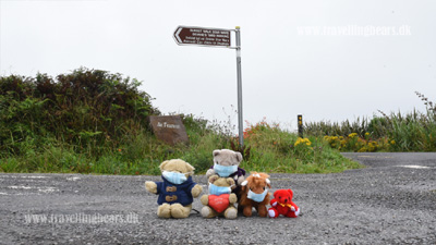 Travelling Bears 
				in Killarney