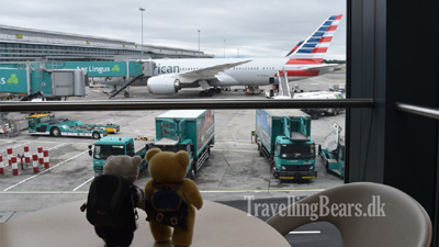 Travelling Bears at Terminal 2 in Dublin Airport