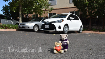 Travelling Bears at the Hampton Inn in Ukiah, California