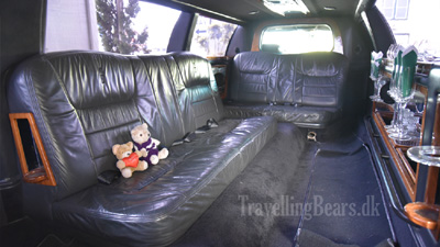 Travelling Bears enjoying at lift in a limousine, Eureka, 
				California