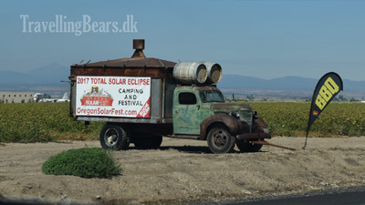 Travelling Bears cruising the highways of Oregon