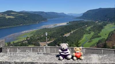 Travelling Bears at Vista Point in Oregon